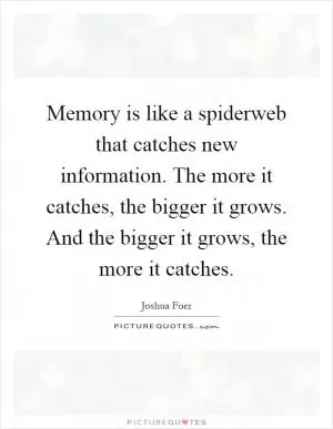 Memory is like a spiderweb that catches new information. The more it catches, the bigger it grows. And the bigger it grows, the more it catches Picture Quote #1