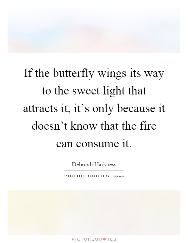 If the butterfly wings its way to the sweet light that attracts it, it's only because it doesn't know that the fire can consume it Picture Quote #1