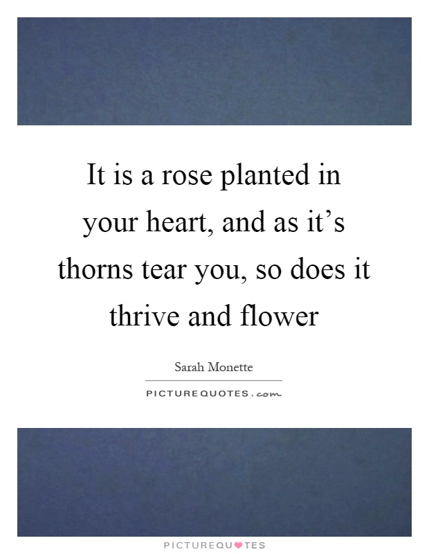 It is a rose planted in your heart, and as it's thorns tear you, so does it thrive and flower Picture Quote #1