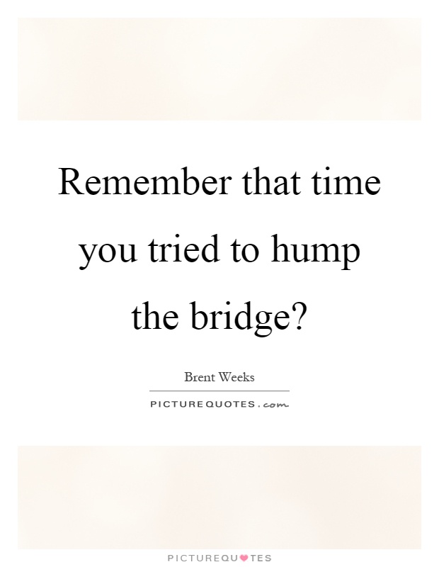 Remember that time you tried to hump the bridge? Picture Quote #1