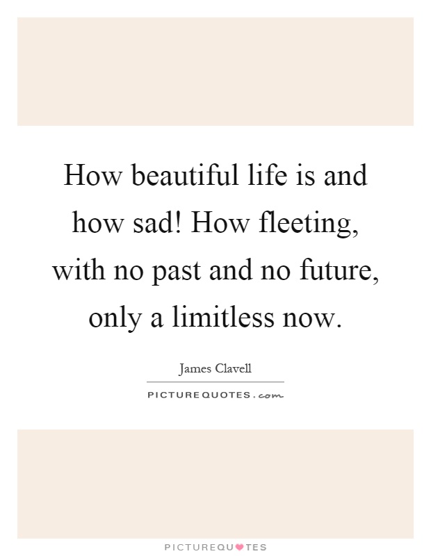How beautiful life is and how sad! How fleeting, with no past and no future, only a limitless now Picture Quote #1