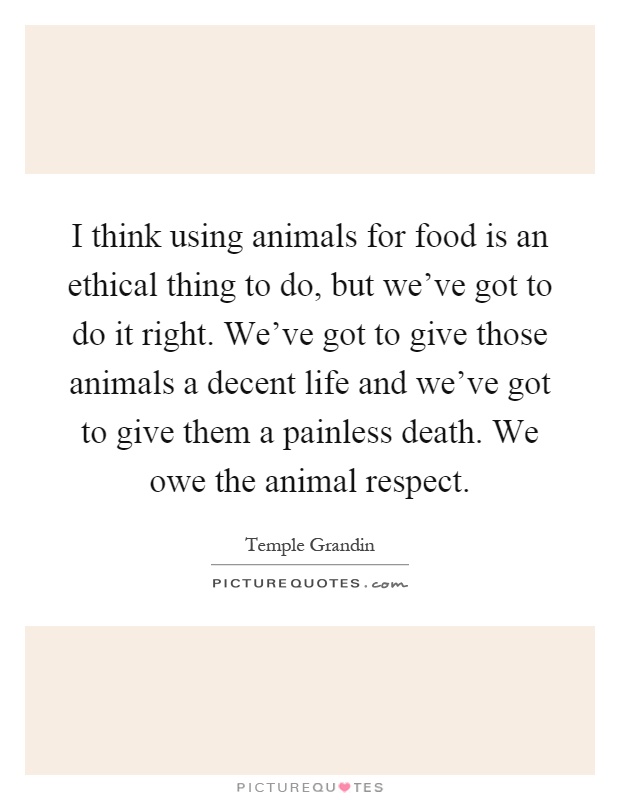 I think using animals for food is an ethical thing to do, but we've got to do it right. We've got to give those animals a decent life and we've got to give them a painless death. We owe the animal respect Picture Quote #1