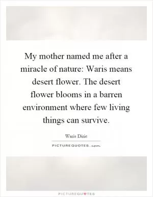My mother named me after a miracle of nature: Waris means desert flower. The desert flower blooms in a barren environment where few living things can survive Picture Quote #1