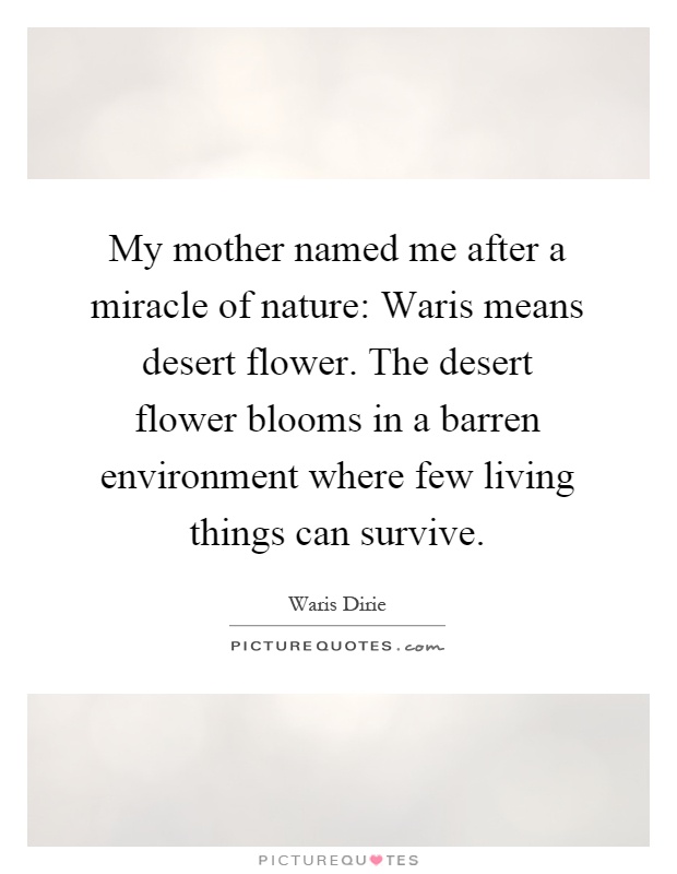 My mother named me after a miracle of nature: Waris means desert flower. The desert flower blooms in a barren environment where few living things can survive Picture Quote #1