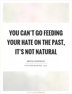 You can’t go feeding your hate on the past, it’s not natural Picture Quote #1