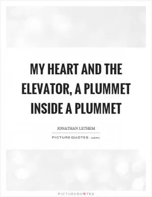 My heart and the elevator, a plummet inside a plummet Picture Quote #1