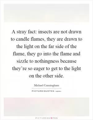 A stray fact: insects are not drawn to candle flames, they are drawn to the light on the far side of the flame, they go into the flame and sizzle to nothingness because they’re so eager to get to the light on the other side Picture Quote #1
