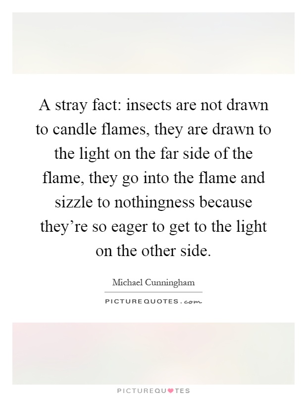 A stray fact: insects are not drawn to candle flames, they are drawn to the light on the far side of the flame, they go into the flame and sizzle to nothingness because they're so eager to get to the light on the other side Picture Quote #1