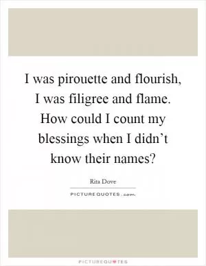 I was pirouette and flourish, I was filigree and flame. How could I count my blessings when I didn’t know their names? Picture Quote #1