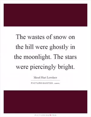 The wastes of snow on the hill were ghostly in the moonlight. The stars were piercingly bright Picture Quote #1