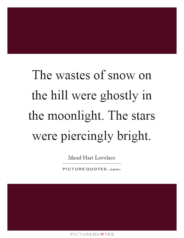 The wastes of snow on the hill were ghostly in the moonlight. The stars were piercingly bright Picture Quote #1