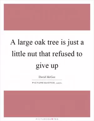 A large oak tree is just a little nut that refused to give up Picture Quote #1