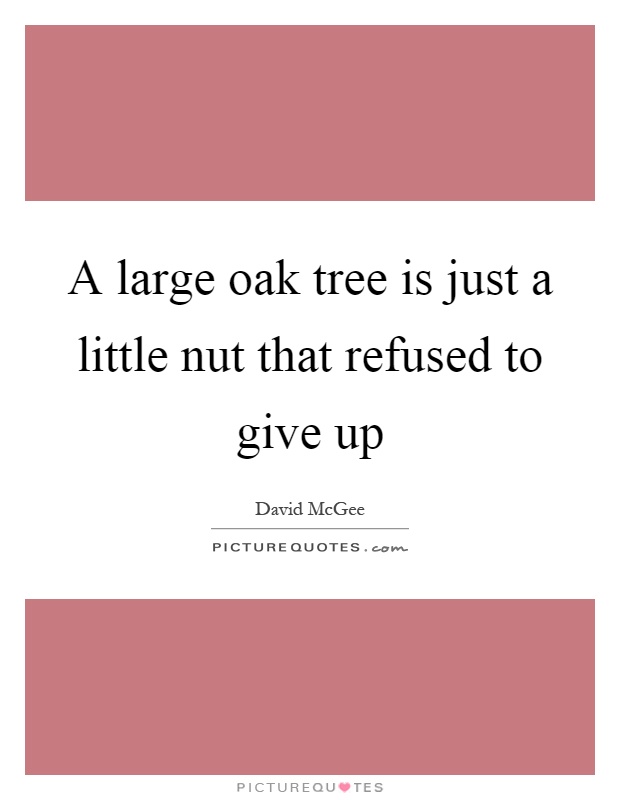 A large oak tree is just a little nut that refused to give up Picture Quote #1