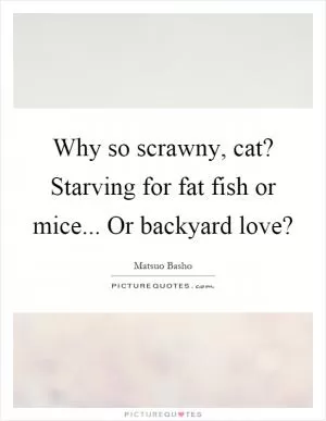 Why so scrawny, cat? Starving for fat fish or mice... Or backyard love? Picture Quote #1