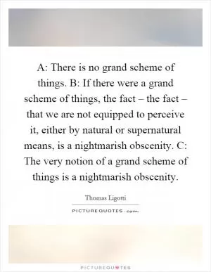 A: There is no grand scheme of things. B: If there were a grand scheme of things, the fact – the fact – that we are not equipped to perceive it, either by natural or supernatural means, is a nightmarish obscenity. C: The very notion of a grand scheme of things is a nightmarish obscenity Picture Quote #1