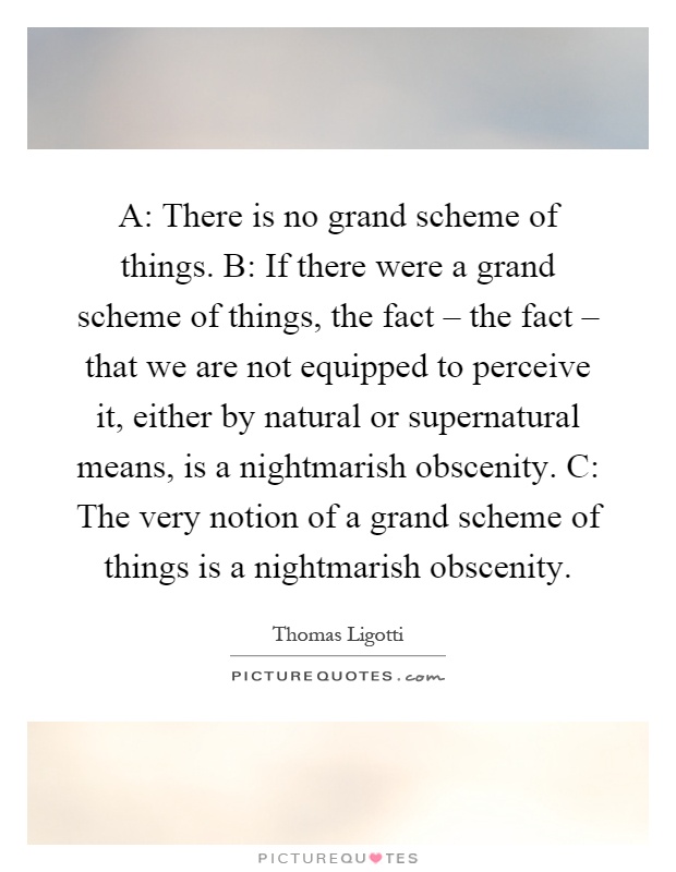 A: There is no grand scheme of things. B: If there were a grand scheme of things, the fact – the fact – that we are not equipped to perceive it, either by natural or supernatural means, is a nightmarish obscenity. C: The very notion of a grand scheme of things is a nightmarish obscenity Picture Quote #1
