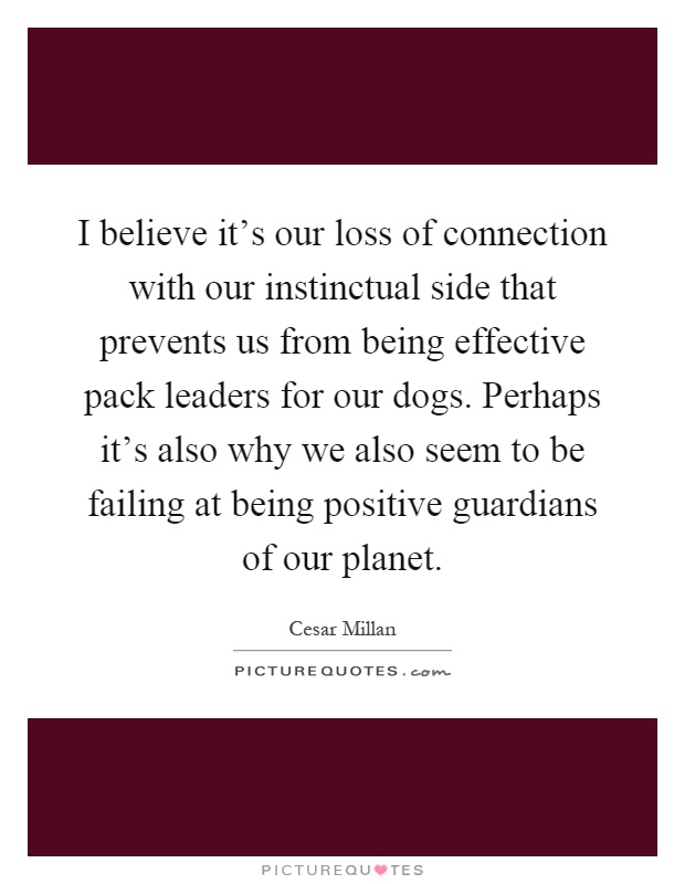 I believe it's our loss of connection with our instinctual side that prevents us from being effective pack leaders for our dogs. Perhaps it's also why we also seem to be failing at being positive guardians of our planet Picture Quote #1