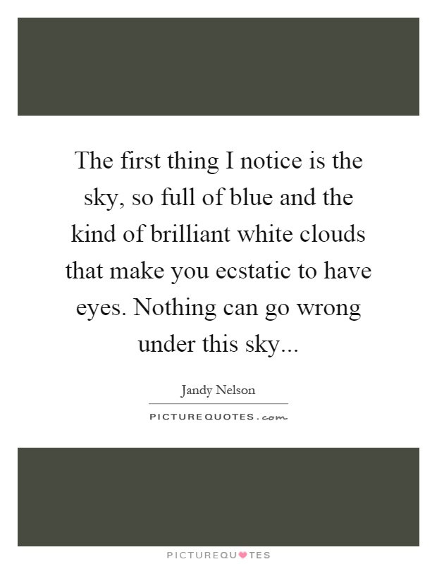 The first thing I notice is the sky, so full of blue and the kind of brilliant white clouds that make you ecstatic to have eyes. Nothing can go wrong under this sky Picture Quote #1