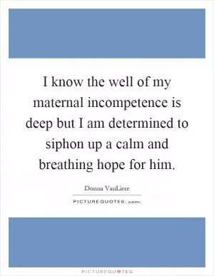 I know the well of my maternal incompetence is deep but I am determined to siphon up a calm and breathing hope for him Picture Quote #1