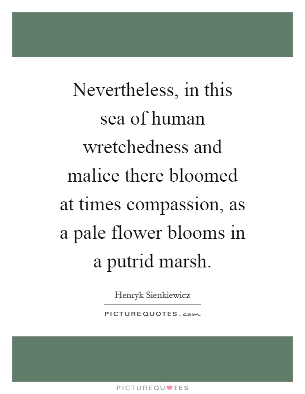 Nevertheless, in this sea of human wretchedness and malice there bloomed at times compassion, as a pale flower blooms in a putrid marsh Picture Quote #1