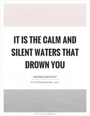 It is the calm and silent waters that drown you Picture Quote #1
