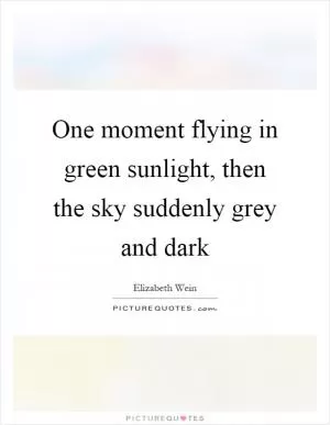 One moment flying in green sunlight, then the sky suddenly grey and dark Picture Quote #1