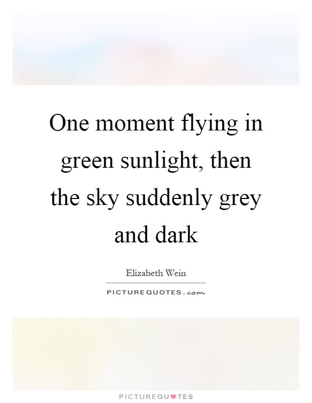 One moment flying in green sunlight, then the sky suddenly grey and dark Picture Quote #1