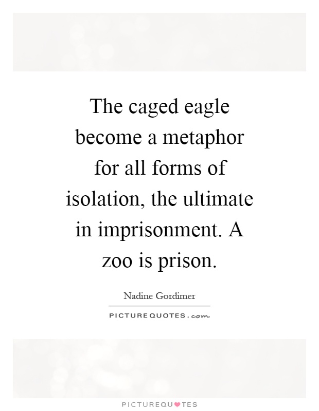 The caged eagle become a metaphor for all forms of isolation, the ultimate in imprisonment. A zoo is prison Picture Quote #1