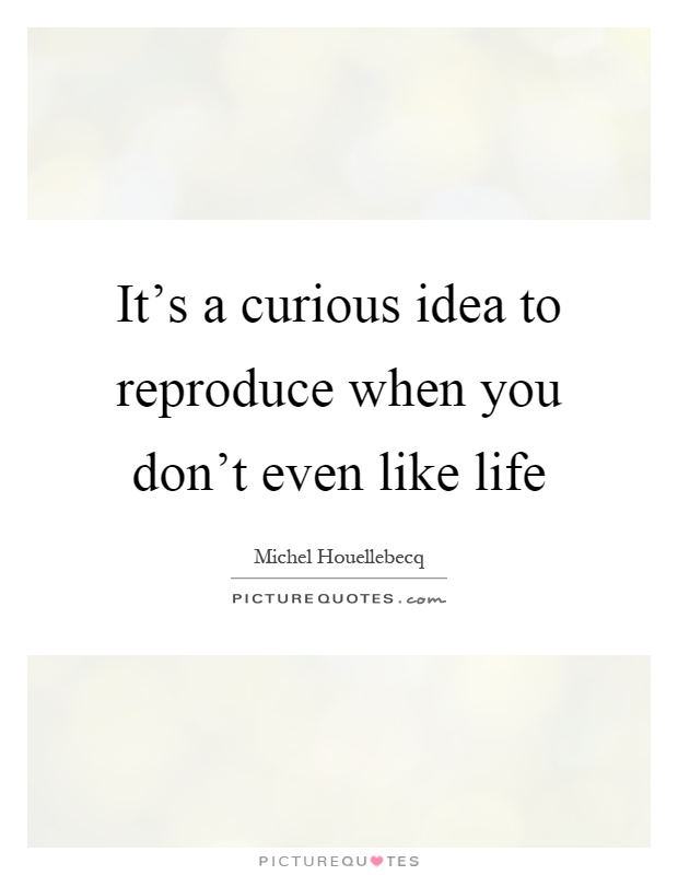 It's a curious idea to reproduce when you don't even like life Picture Quote #1