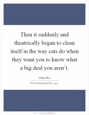 Then it suddenly and theatrically began to clean itself in the way cats do when they want you to know what a big deal you aren’t Picture Quote #1