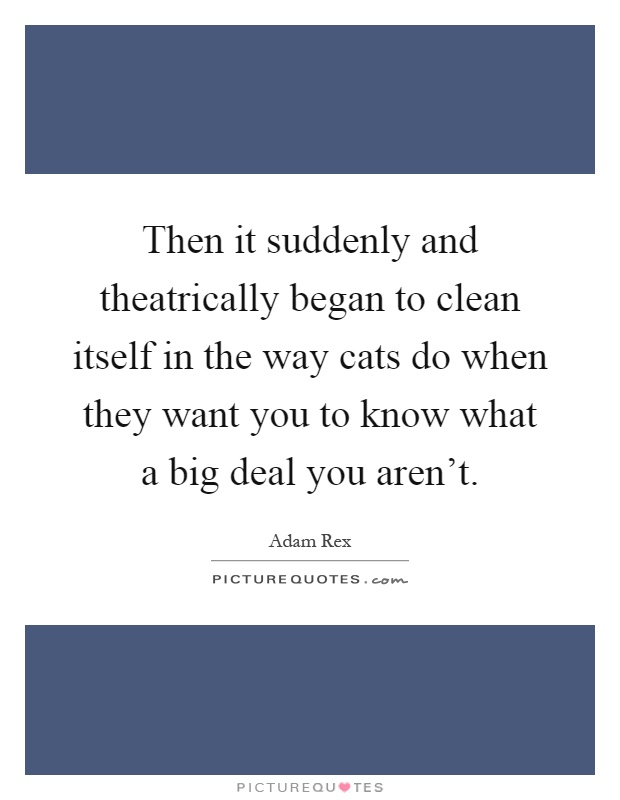 Then it suddenly and theatrically began to clean itself in the way cats do when they want you to know what a big deal you aren't Picture Quote #1