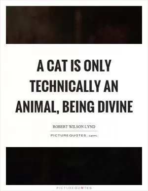 A cat is only technically an animal, being divine Picture Quote #1