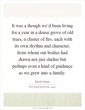 It was a though we’d been living for a year in a dense grove of old trees, a cluster of firs, each with its own rhythm and character, from whom our bodies had drawn not just shelter but perhaps even a kind of guidance as we grew into a family Picture Quote #1