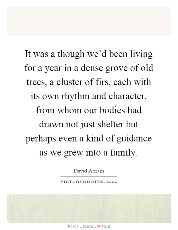It was a though we'd been living for a year in a dense grove of old trees, a cluster of firs, each with its own rhythm and character, from whom our bodies had drawn not just shelter but perhaps even a kind of guidance as we grew into a family Picture Quote #1