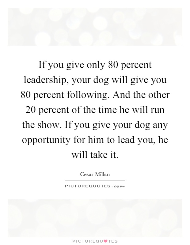 If you give only 80 percent leadership, your dog will give you 80 percent following. And the other 20 percent of the time he will run the show. If you give your dog any opportunity for him to lead you, he will take it Picture Quote #1