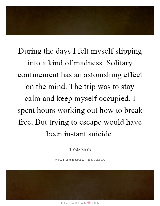 During the days I felt myself slipping into a kind of madness. Solitary confinement has an astonishing effect on the mind. The trip was to stay calm and keep myself occupied. I spent hours working out how to break free. But trying to escape would have been instant suicide Picture Quote #1