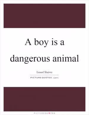 A boy is a dangerous animal Picture Quote #1