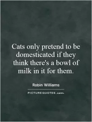Cats only pretend to be domesticated if they think there's a bowl of milk in it for them Picture Quote #1
