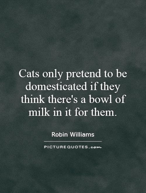 Cats only pretend to be domesticated if they think there's a bowl of milk in it for them Picture Quote #1