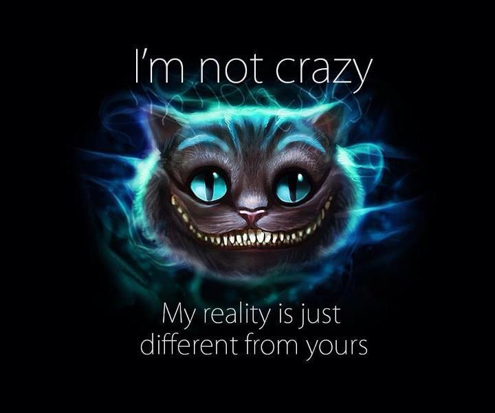 I'm not crazy. My reality is just different than yours Picture Quote #3