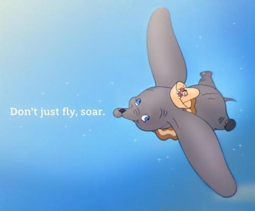 Don't just fly, soar Picture Quote #1