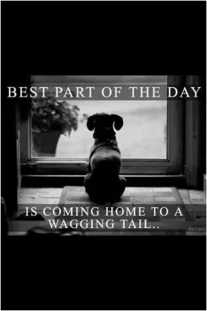 Best part of the day is coming home to a wagging tail Picture Quote #1