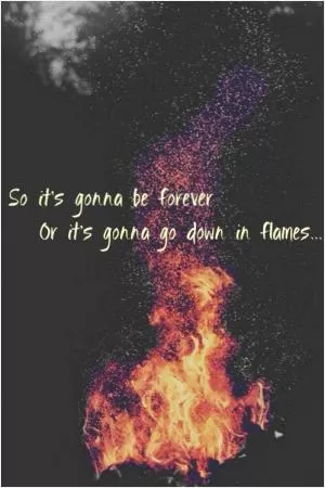 So it's gonna be forever, or it's gonna go down in flames Picture Quote #1