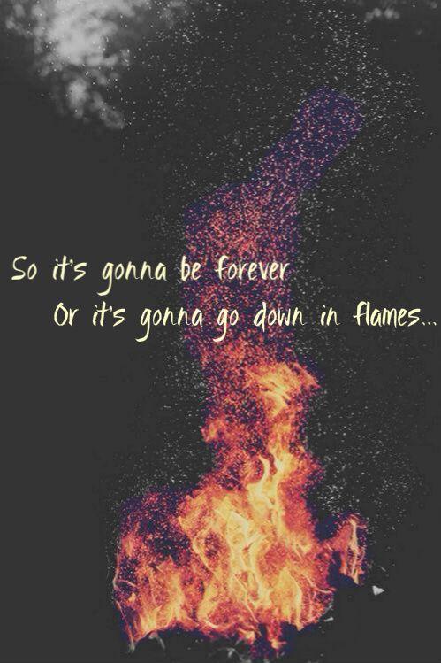 So it's gonna be forever, or it's gonna go down in flames Picture Quote #1