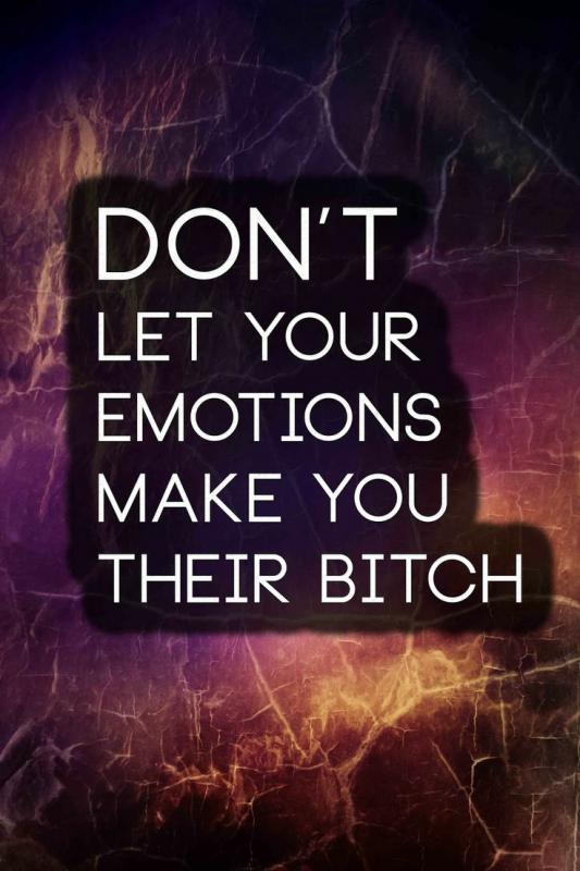 Don't let your emotions make you their bitch Picture Quote #1