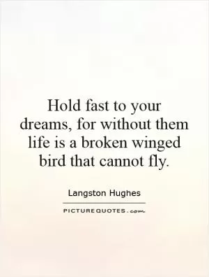 Hold fast to your dreams, for without them life is a broken winged bird that cannot fly Picture Quote #1