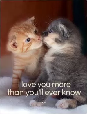 I love you more than you'll ever know Picture Quote #1