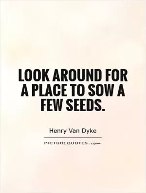 Look around for a place to sow a few seeds Picture Quote #1