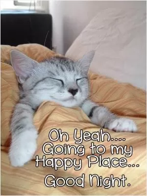 Oh yeah... Going to my happy place... Good night Picture Quote #1