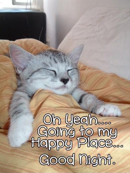 Oh yeah... Going to my happy place... Good night | Picture Quotes